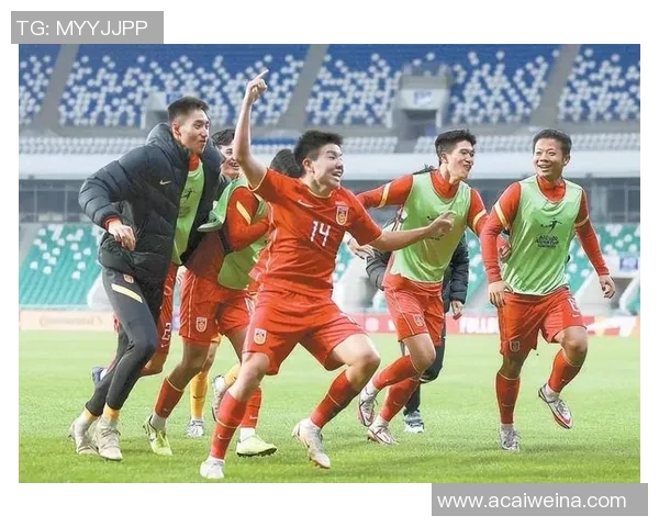 运动数据南京排球队以72分稳居杯赛积分榜首位争夺冠军形势乐观