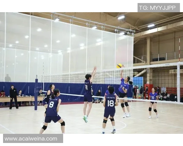 实时新闻排球盛宴深入解析北京排球队的训练与比赛节奏