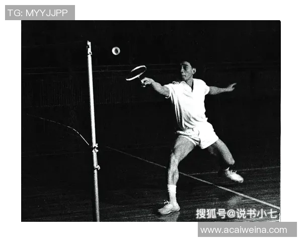 实时新闻深入分析西安羽毛球队阵地战战术与技巧的专业解读